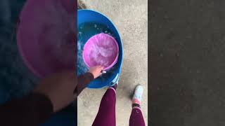 Duble - After work yard routine  
