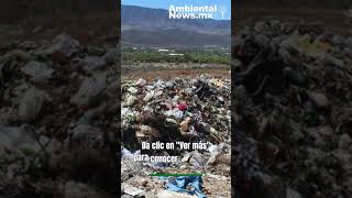 Combaten contaminación con nueva regulación y vigilancia ambiental en Tamaulipas