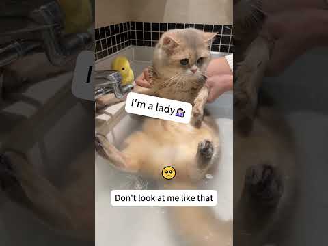 Here comes a new, fresh bread #jirpet #jirpetf1