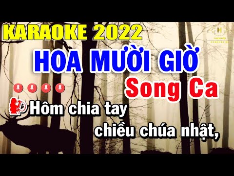 Hoa Mười Giờ Karaoke Song Ca 2022 | Trọng Hiếu