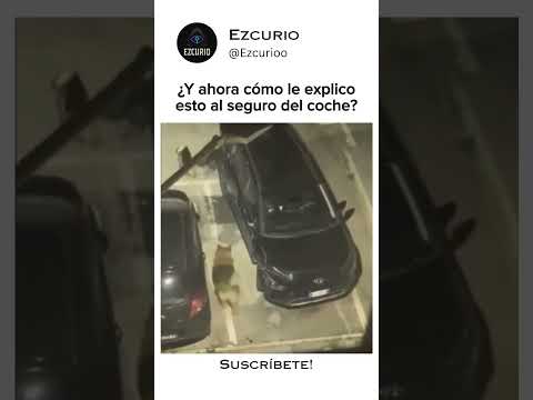 El seguro no estaba listo para esto 😂