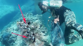 4 Phát Không Gục Độ Lỳ Của Nó Dữ Thiệt CÁ CHÌNH Biển Cực Kỳ Lỳ Đòn. A rare clam has been discover
