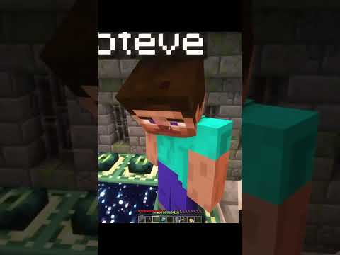 Steve turned the Ender Dragon into toast