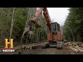 Logging Operations and Safety Concerns