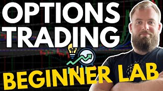 Balancing Risk and Reward in Trading | Outlier Options Trading Beginner Lab