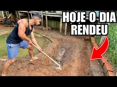 Como fazer lago para cisne, BORA INICIAR OUTRA REFORMA | Aves Recriar