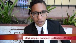 Delegados dan su opinión acerca de la ONU
