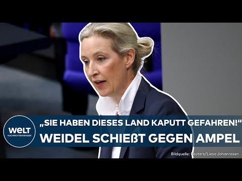 BUNDESTAG: "Sie haben alle noch nie im Leben gearbeitet!" Alice Weidel liefert sich Wortgefecht