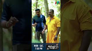 അർച്ചന ചേച്ചി കാട്ടിൽ അകപ്പെട്ട കാഴ്ചകൾ ഒന്ന് കണ്ടാലോ😄 part - 2  #archanachechillb #bts