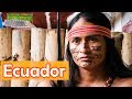 Amazonian Community and Conservation Practices