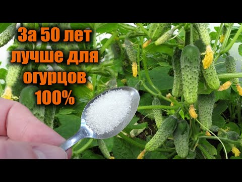 1 Ложка  Огурцы, Томаты, Перцы обильно заплодоносят и не будут желтеть!