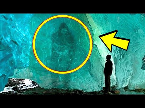 Scientists Found Something Strange In An Iceberg, Turn Pale When They Realize What it Was
