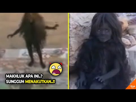 Walaupun Direkam Masih Banyak yang Nggak Percaya, Penampakan Makhluk Aneh ini #YtCrash