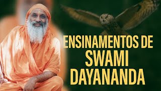 Meditar é Servir: A Sabedoria de Swami Dayananda em Tempos de Ansiedade