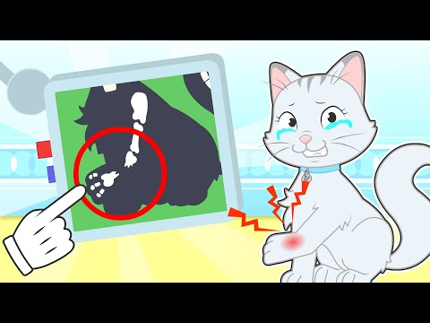 BABY PETS 🙀🚑 Kitty Kira Breaks a Leg! Can the Vet Save Her?