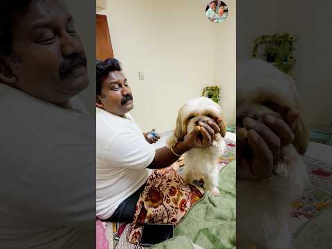 Night aana sandaiku varanga ivan 😟 #shorts