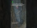 Benefits of VR in Geology