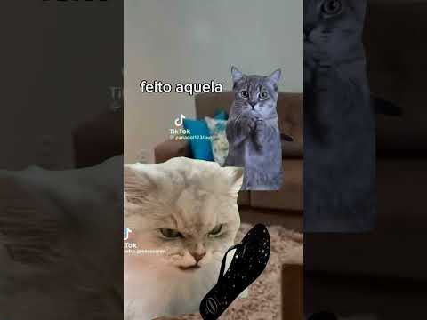 quando meu pai dá dinheiro pro meu irmão cortar o cabelo: #memes #pfvr #gatos #nflopa #nflopa #pets