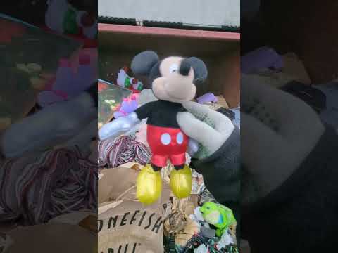 #dumpsterdiving
