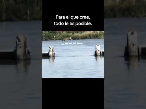 #nuncaterindas #inspirador #motivacional #motivar #inspiracional