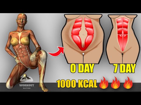 1-Minute Standing Exercise (No Jumping) To LOSE BELLY FAT | 7 Day Lose Weight