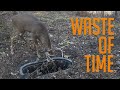 Habitat Management Misconceptions and Strategies