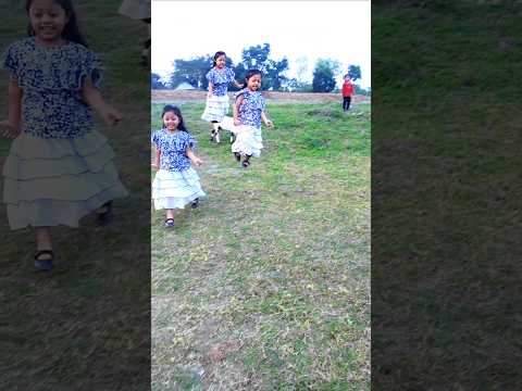 টুনটুনি ও ময়না টিয়া 😜 কত কি কইয়া। #tiktokviralsong #viralvideo #trending #shorts