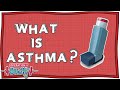 Understanding Asthma and Lung Function