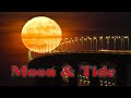 Tides and Lunar Eclipses