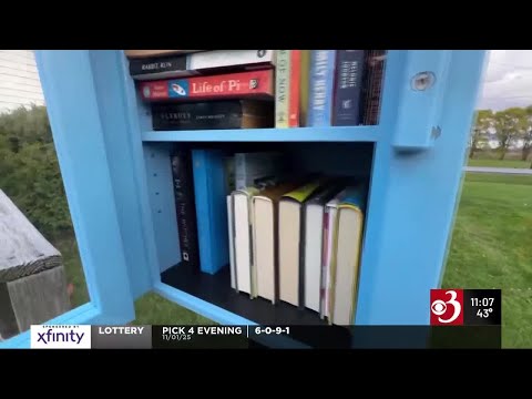 YouTube video thumbnail: New Little Library Opens in Addison to Expand Rural Reading Access