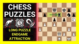 Chess Puzzles to Practice. Themes: Long puzzle, Endgame, Attraction. Learn Chess