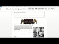 Vietnam War: Key Events and Strategies