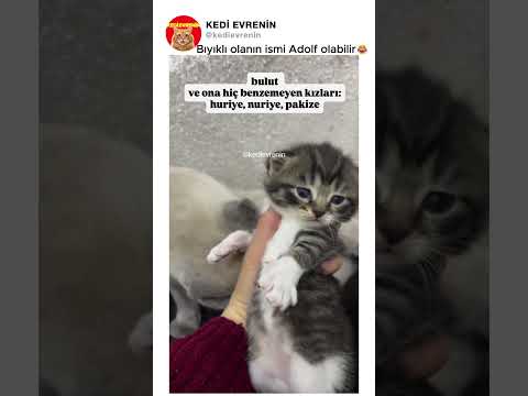 Bıyıklı olanın ismi Adolf olabilir😂