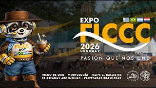 FICCC 2026 - CAMPO I FRENO DE ORO - 08/05/26