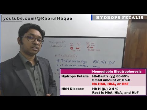 Thalassemia Part 02 : Alpha Thalassemia HD