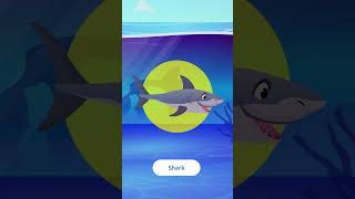 🌊🦈 Movimiento Marino 🐢 ¡Baila con el delfín, el tiburón y la tortuga en inglés! 🐬🦀