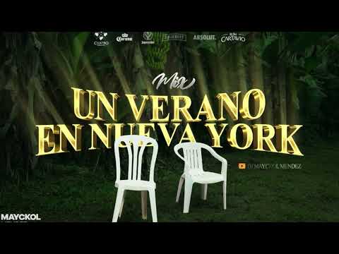 Un Verano En Nueva York | DTFM - CAPAZ - CAMARA LENTA - OTROS