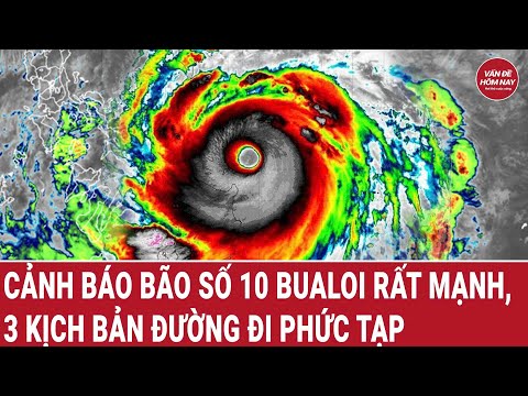 Bản tin thời sự: Cảnh báo bão số 10 Bualoi rất mạnh, 3 kịch bản đường đi phức tạp