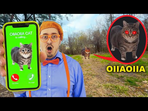 OIIAOIIA CAT is Calling NIKPIG BLUPPI.EXE - Spinning Cat Meme Remix 2025