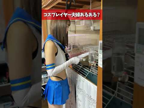 コスプレイヤーと結婚するとこんな感じ