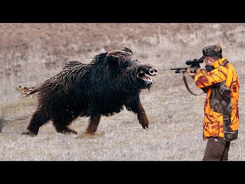 DEV CANAVAR YABAN DOMUZU AVI, GIANT MONSTER WILD BOAR HUNTING Like You've Never Seen Before!