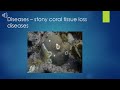 Marine Life Factors and Competition