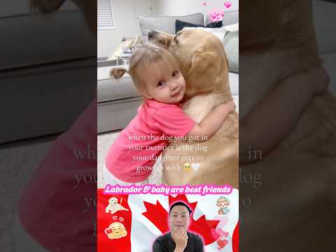 Labrador & baby are best friends🐶❤️🥰#baby #dog #love #bestfriends #cute #pet #shorts