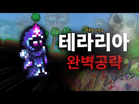 영상 하나로 끝내는 테라리아 공략