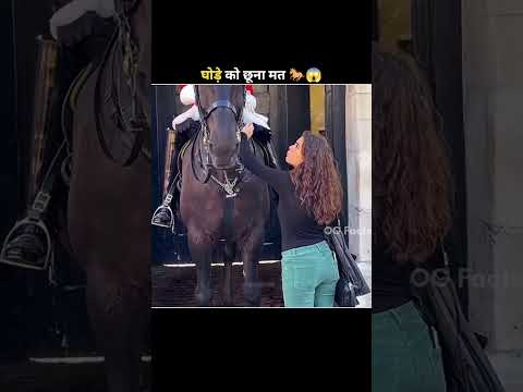 This is Dangerous Horse 🐎😱 #facts #shorts #shortvideo