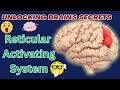 Understanding the Reticular Activating System