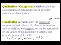 Understanding Qualitative and Quantitative Variables