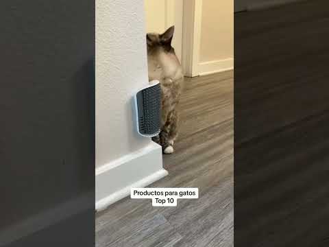 PRODUCTOS 10 TOP PARA TU GATO