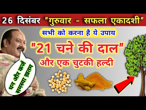 26 दिसंबर गुरुवार एकादशी व्रत | 21 चने की दाल और एक चुटकी हल्दी | guruwar ekadashi ke upay