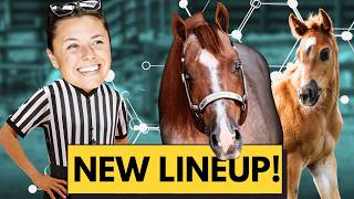 My Predictions For Next Year's Foals | Who Belongs To Who?